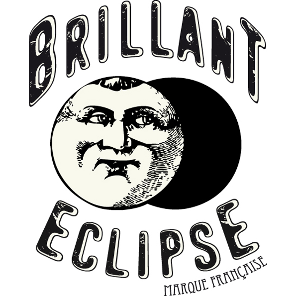 BRILLANT EclipsE, garage & mécanique à Rue Georges Delpérier, Tours